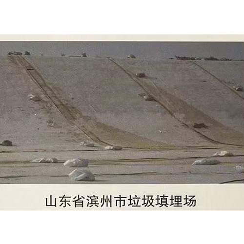 山東省濱州市垃圾填埋場(chǎng)